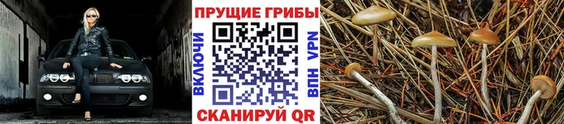 Галлюциногенные грибы мицелий  Балашиха 